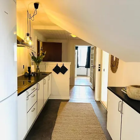 Og Rummelig I Apartman Vejle