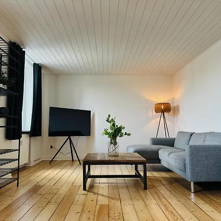 Og Rummelig I Apartman Vejle