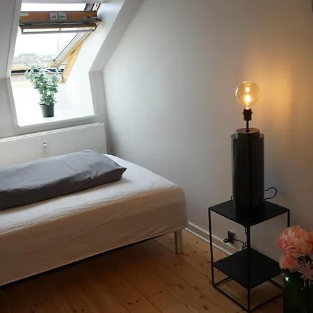 Og Rummelig I Apartman