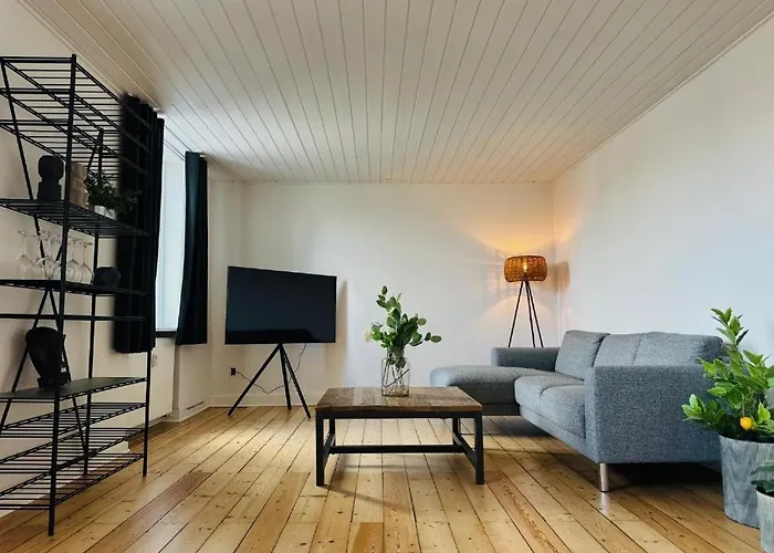 Og Rummelig I Appartement Vejle